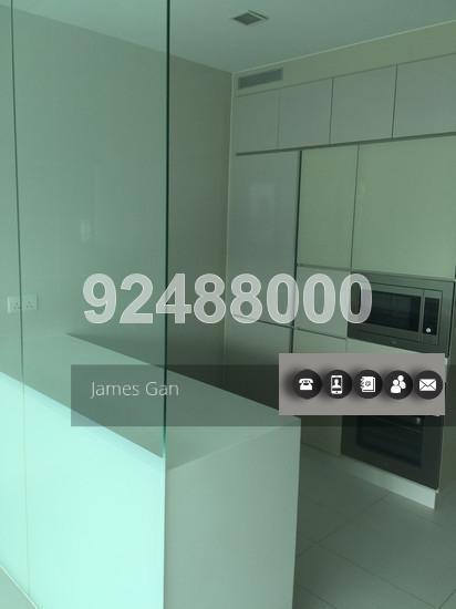 Soleil @ Sinaran (D11), Condominium #131186512